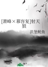 （綜武俠同人）[蕭峯×慕容復]射天狼